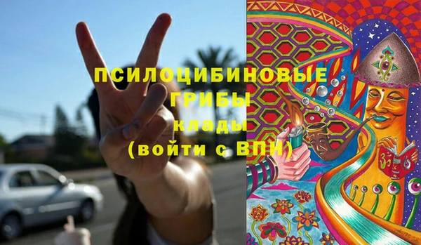 ECSTASY Абаза